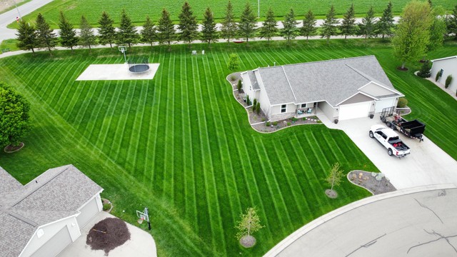 Lawn