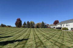 Lawn